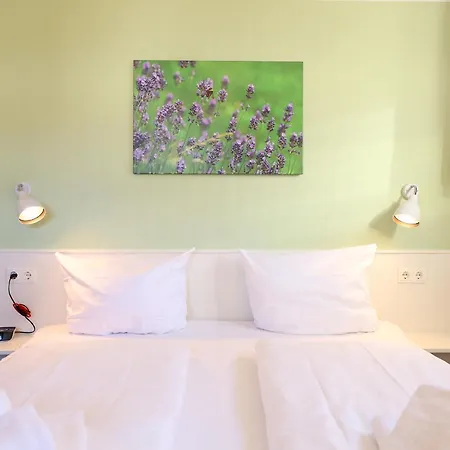 Rochts 16 베스터란트